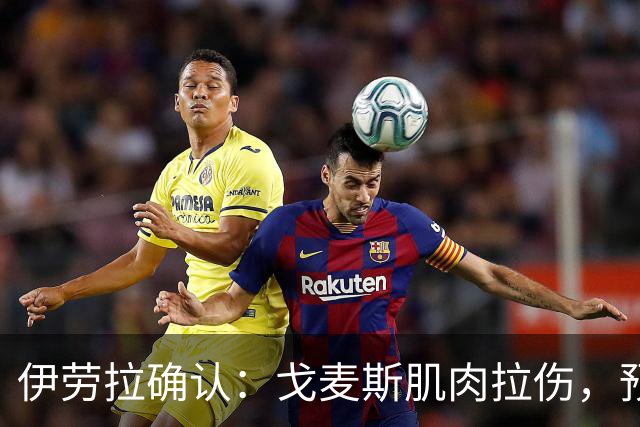 伊劳拉确认：戈麦斯肌肉拉伤，预计休战一个月，将缺席赛季初